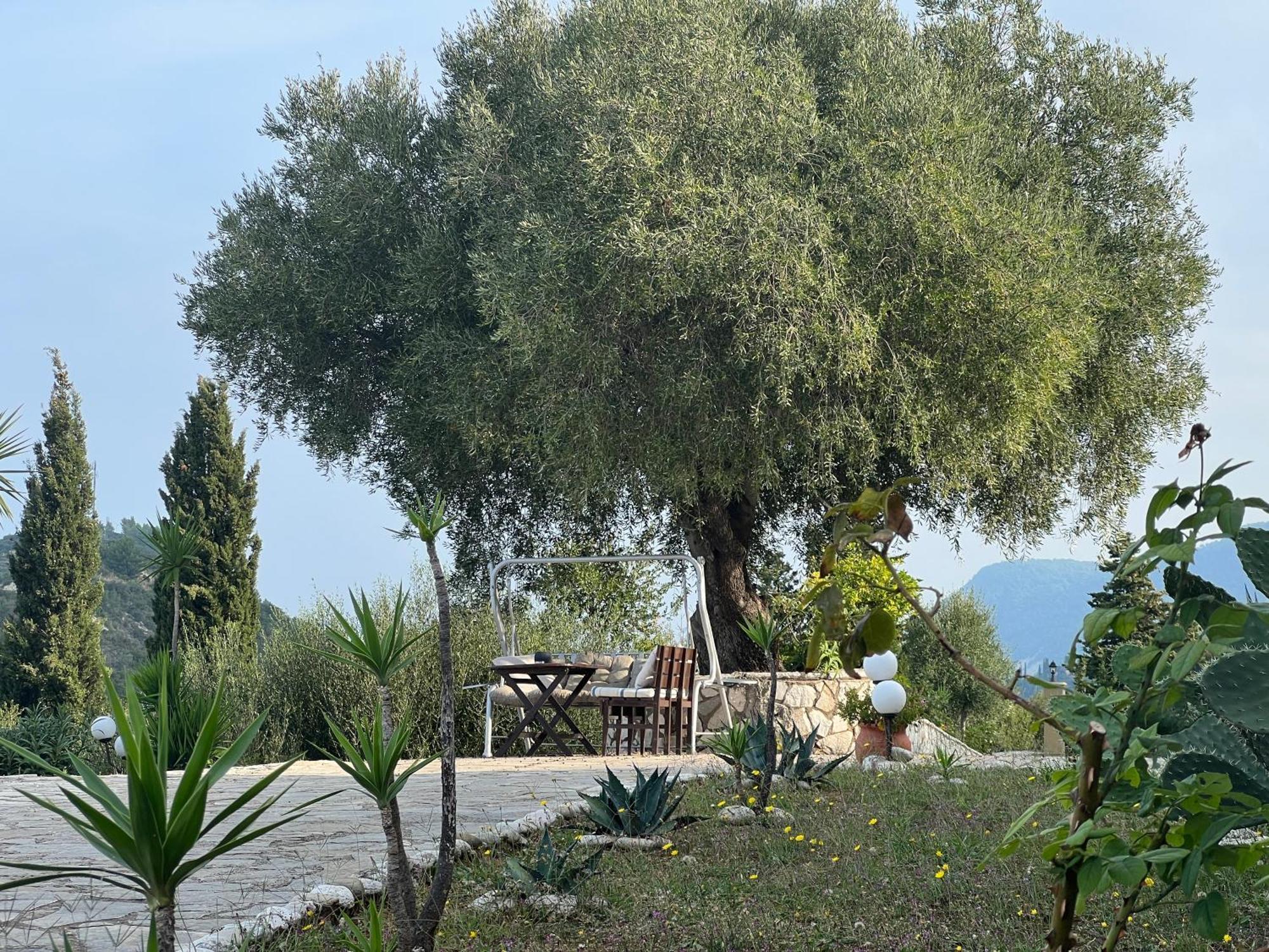 La Casa D' Irene (Adults Only) 호텔 Áyios Nikítas 외부 사진